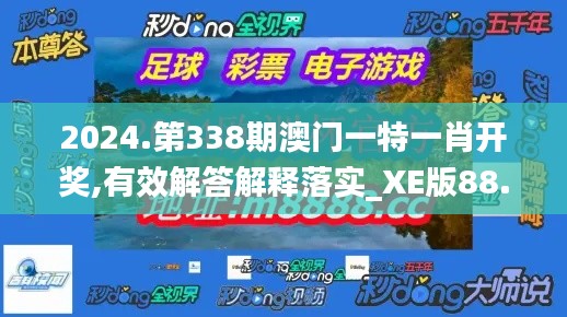 2024.第338期澳门一特一肖开奖,有效解答解释落实_XE版88.970-1