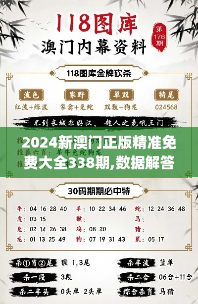 2024新澳门正版精准免费大全338期,数据解答落实_GT38.174-7