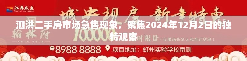 泗洪二手房市场急售现象观察，聚焦年末的独特视角（2024年12月2日）