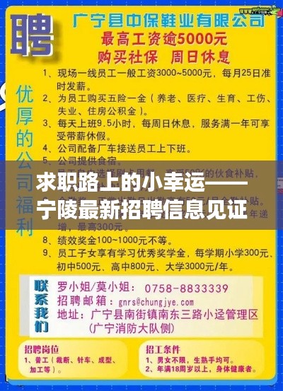 宁陵最新招聘信息，求职路上的幸运与友情的交织岁月