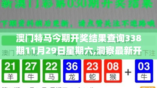 澳门特马今期开奖结果查询338期11月29日星期六,洞察最新开奖趋势_精英款50.221-9