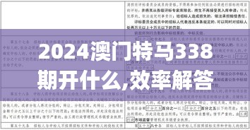 2024澳门特马338期开什么,效率解答解释落实_X版40.651-3