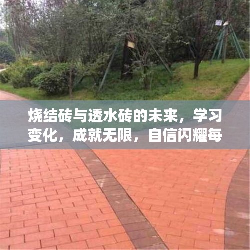 烧结砖与透水砖的未来展望，学习变革，成就自信每一天