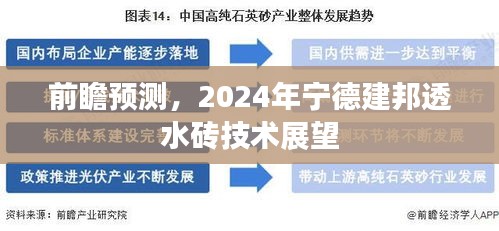 2024年宁德建邦透水砖技术趋势展望