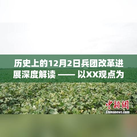 XX视角下的兵团改革进展深度解读，聚焦历史12月2日的变革