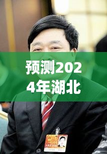 聚焦三大看点，预测湖北省新任副省长人选2024年展望