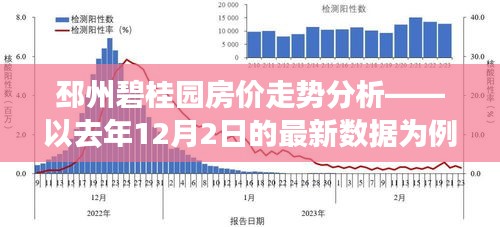 邳州碧桂园房价走势解析，最新数据揭示去年房价趋势分析