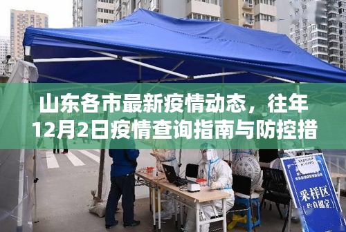 山东各市最新疫情动态概览，12月2日疫情查询指南与防控措施详解