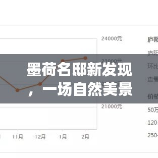 墨荷名邸，自然美景的治愈之旅，探寻内心宁静与平和的启程