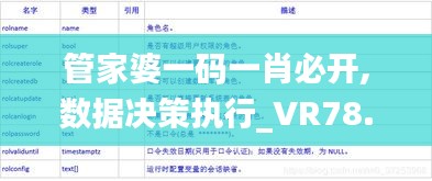 管家婆一码一肖必开,数据决策执行_VR78.856-4