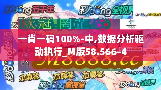 一肖一码100%-中,数据分析驱动执行_M版58.566-4