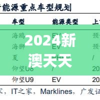 2024新澳天天彩免费资料大全查询,真实解答解释定义_U82.329-9