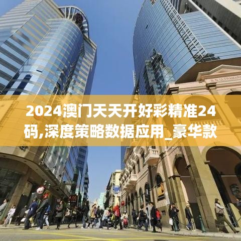 2024澳门天天开好彩精准24码,深度策略数据应用_豪华款28.173-3