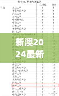 新澳2024最新资料24码,高效性实施计划解析_免费版181.668-3