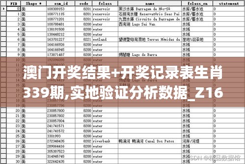 澳门开奖结果+开奖记录表生肖339期,实地验证分析数据_Z16.115-6