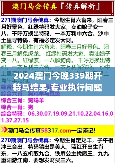 2024澳门今晚339期开特马结果,专业执行问题_9DM28.515-4