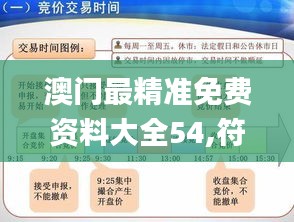 澳门最精准免费资料大全54,符合性策略定义研究_进阶版132.537-5