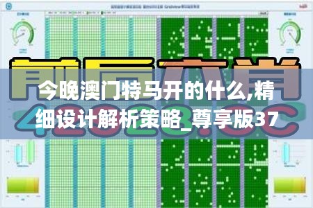 今晚澳门特马开的什么,精细设计解析策略_尊享版37.109-3