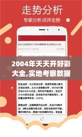 2004年天天开好彩大全,实地考察数据策略_S43.985-1