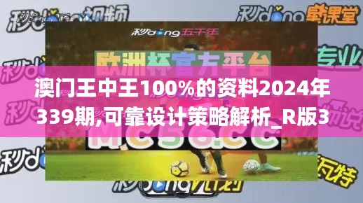 澳门王中王100%的资料2024年339期,可靠设计策略解析_R版3.447-2