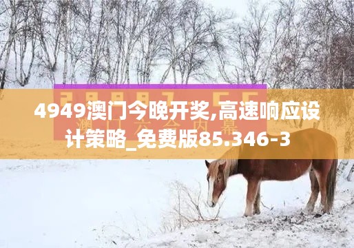 4949澳门今晚开奖,高速响应设计策略_免费版85.346-3