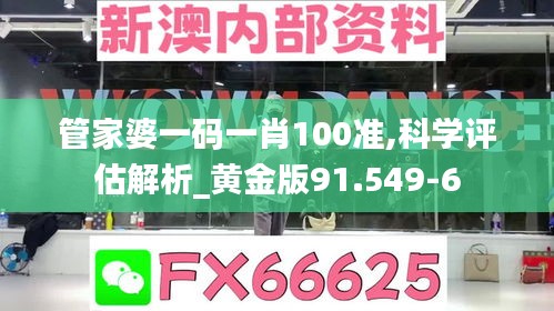 管家婆一码一肖100准,科学评估解析_黄金版91.549-6