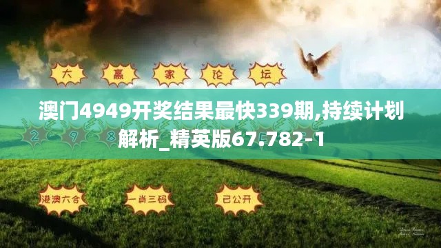 澳门4949开奖结果最快339期,持续计划解析_精英版67.782-1