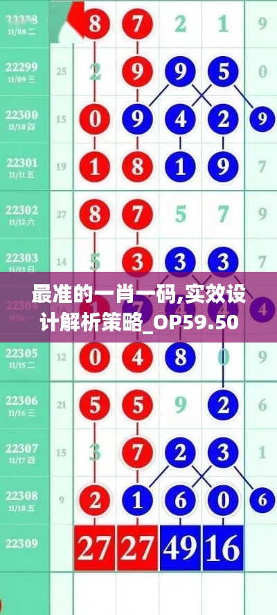 最准的一肖一码,实效设计解析策略_OP59.507-4