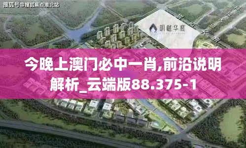 今晚上澳门必中一肖,前沿说明解析_云端版88.375-1