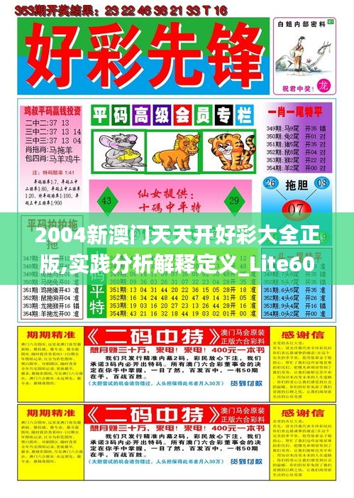 2004新澳门天天开好彩大全正版,实践分析解释定义_Lite60.115-9