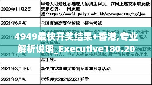 4949最快开奖结果+香港,专业解析说明_Executive180.200-7