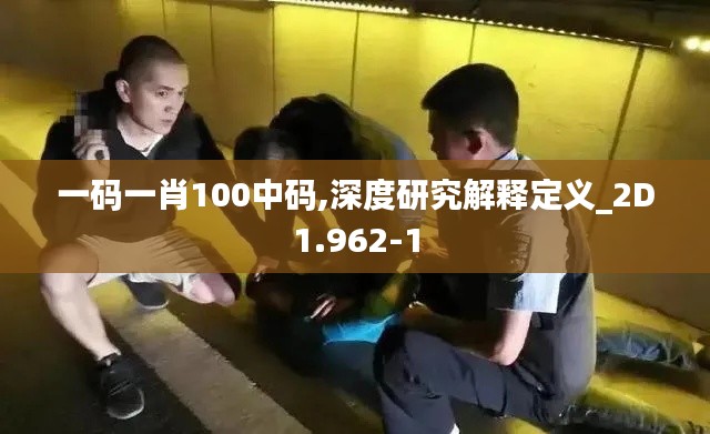 一码一肖100中码,深度研究解释定义_2D1.962-1