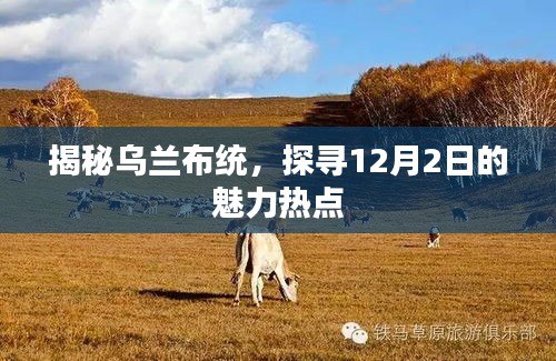 揭秘乌兰布统，探寻冬季的魅力热点之旅