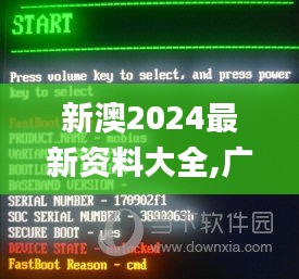 新澳2024最新资料大全,广泛方法解析说明_精装版49.399-4