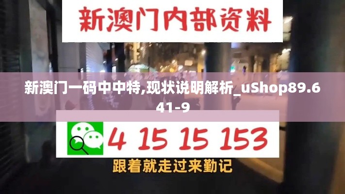 新澳门一码中中特,现状说明解析_uShop89.641-9