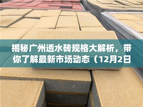 揭秘广州透水砖规格大解析，最新市场动态（更新至12月2日）