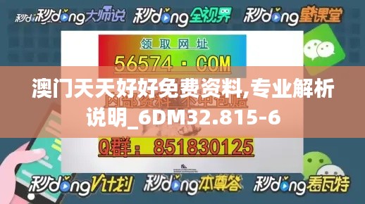 澳门天天好好免费资料,专业解析说明_6DM32.815-6