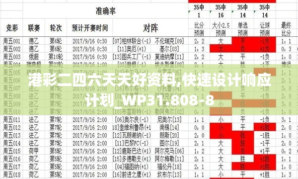 港彩二四六天天好资料,快速设计响应计划_WP31.808-8