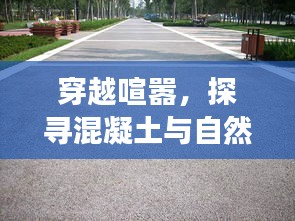 混凝土与自然间的诗意探寻，预测中的混凝土透水砖之旅体验