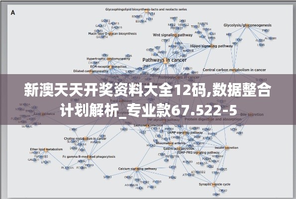 新澳天天开奖资料大全12码,数据整合计划解析_专业款67.522-5