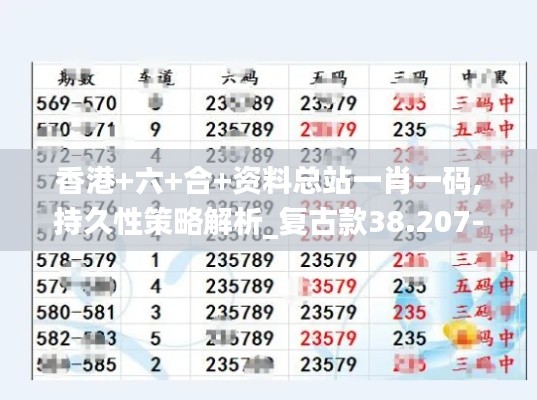 香港+六+合+资料总站一肖一码,持久性策略解析_复古款38.207-6