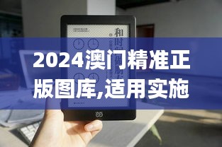 2024澳门精准正版图库,适用实施计划_Kindle58.718-1