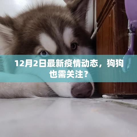 母以子贵 第2页