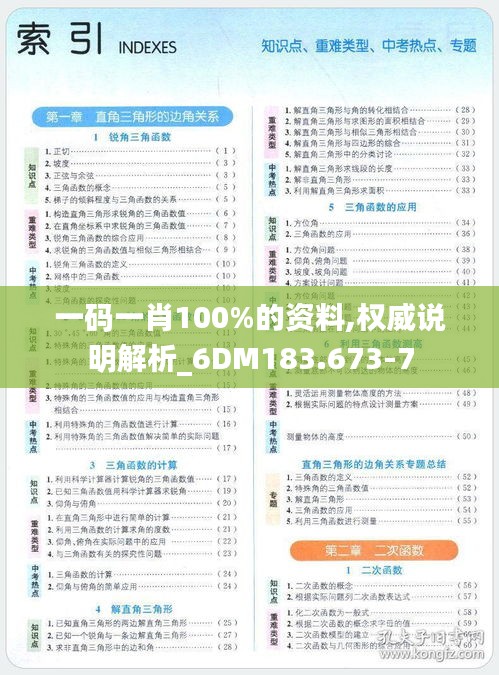 一码一肖100%的资料,权威说明解析_6DM183.673-7