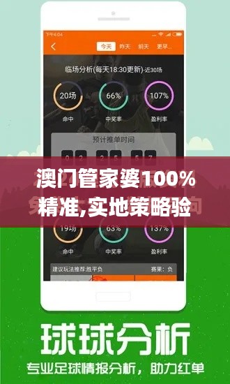 澳门管家婆100%精准,实地策略验证计划_WearOS33.313-5