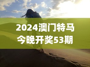 2024澳门特马今晚开奖53期,动态词语解释定义_社交版73.606-5