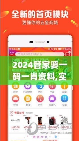 2024管家婆一码一肖资料,实地评估解析说明_P版65.457-1