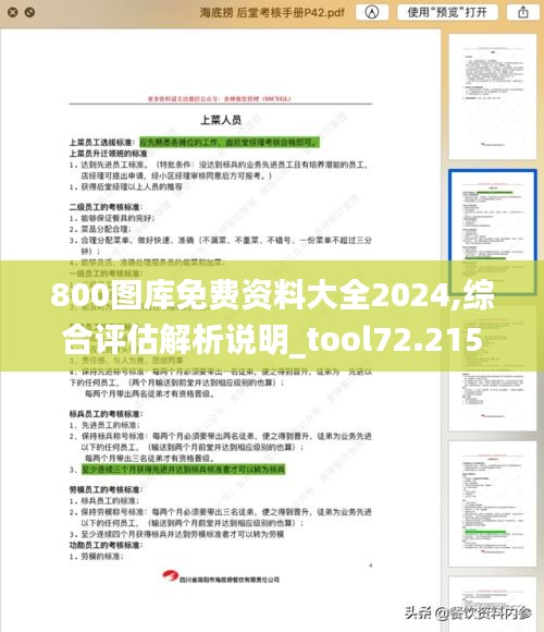 800图库免费资料大全2024,综合评估解析说明_tool72.215-7