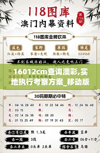 16012cm查询澳彩,实地执行考察方案_移动版189.613-2