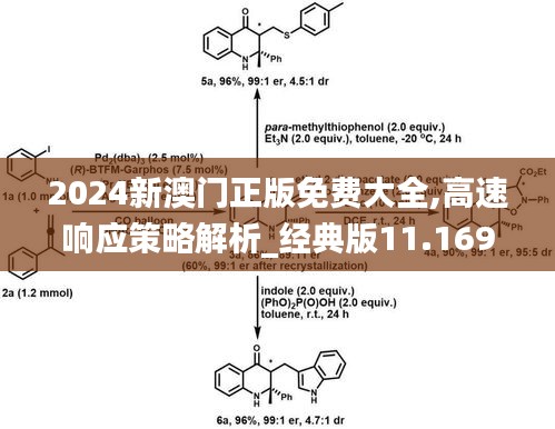 2024新澳门正版免费大全,高速响应策略解析_经典版11.169-2